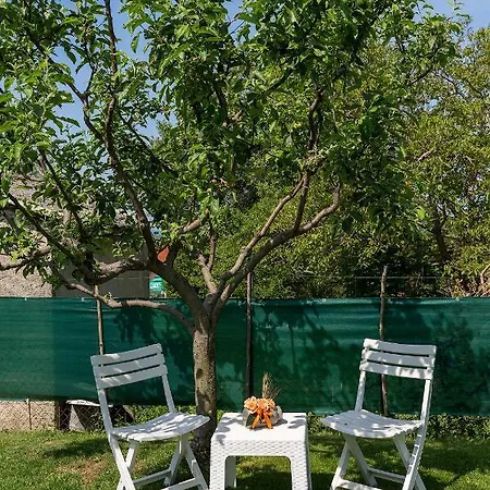 House Anna Porec